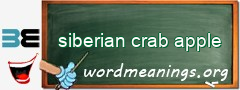 WordMeaning blackboard for siberian crab apple